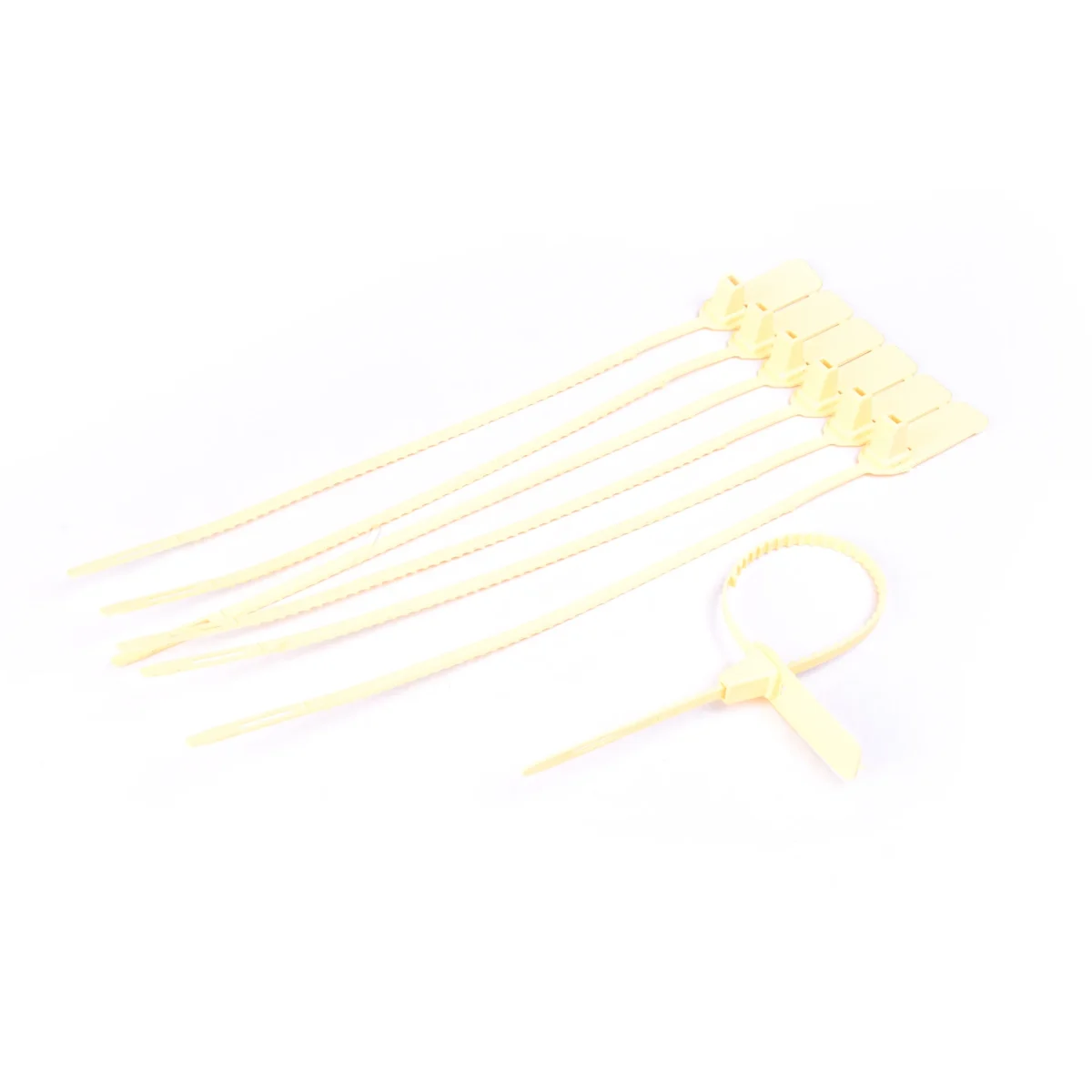 Plastic Pull Tight Seals – Secure & Versatile Tamper-Evident Seals (PTM)